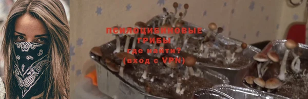 сатива Осташков