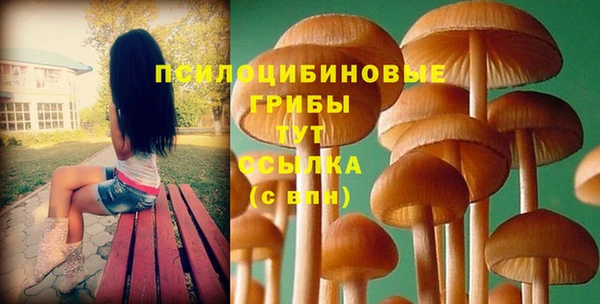 apvp Нягань