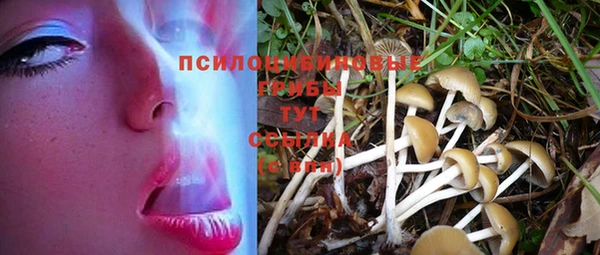 apvp Нягань