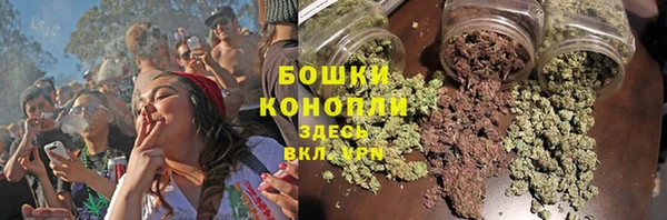 apvp Нягань