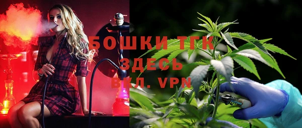 сатива Осташков