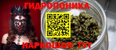 spice Донецк
