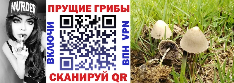 Галлюциногенные грибы мицелий  магазин    Уфа 