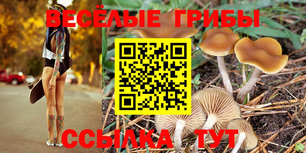 Псилоцибиновые грибы ЛСД Уфа